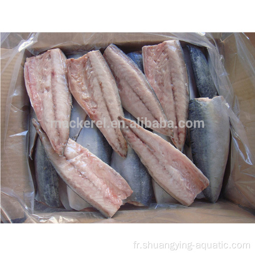 Filet de poisson japonicus de maquereau du Pacifique congelé